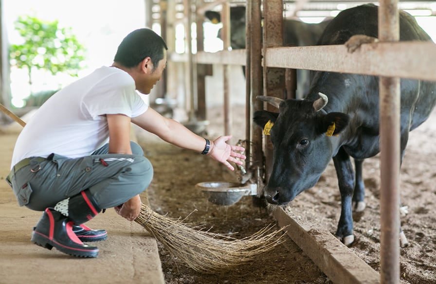 技術指導・飼料供給