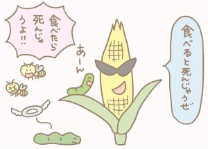 花粉症に効くお米 遺伝子組み換えの問題点とは 秋川牧園