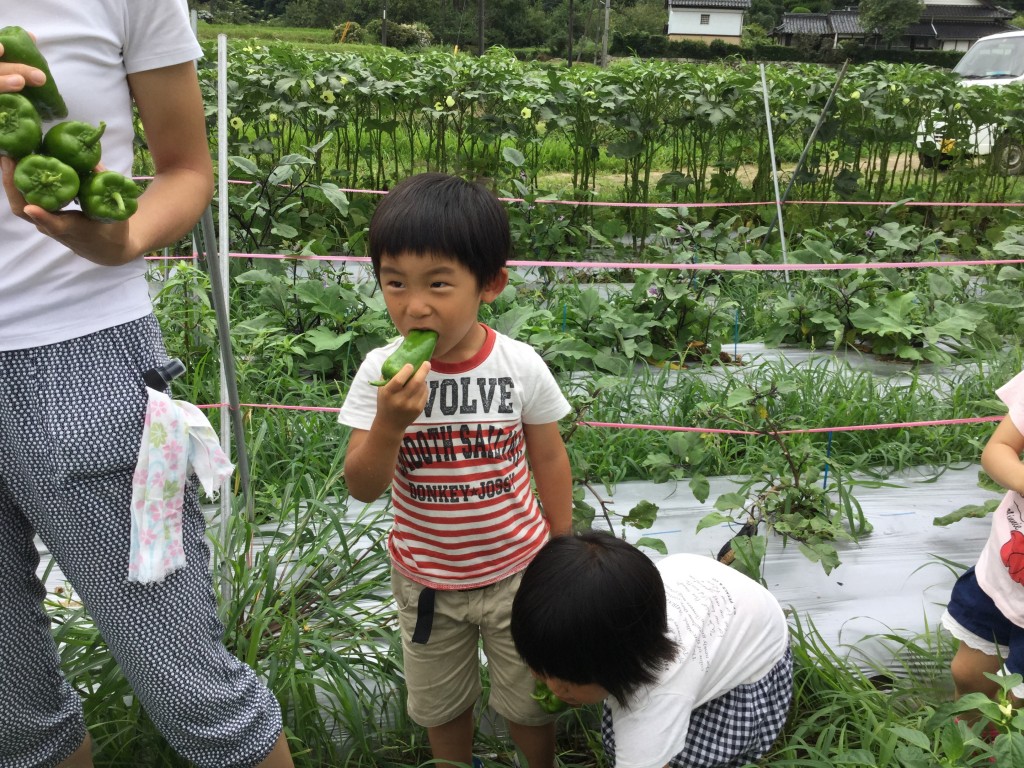 秋川牧園体験ツアー・ゆめファーム