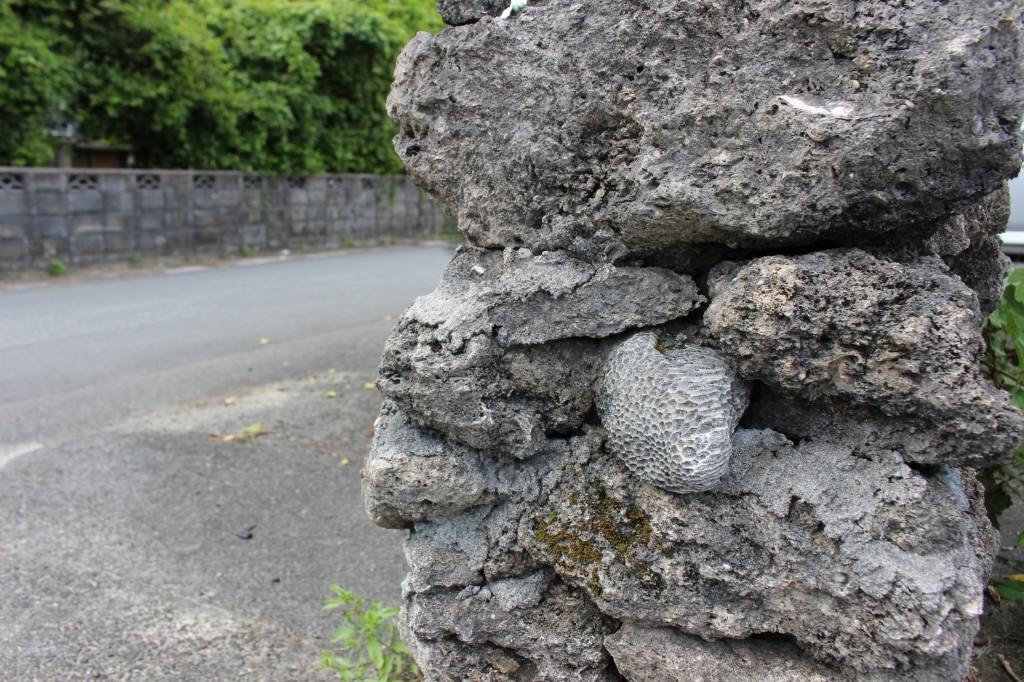 島の石垣には、サンゴの姿。 　サンゴ礁が隆起してできた　島であることを感じさせます。