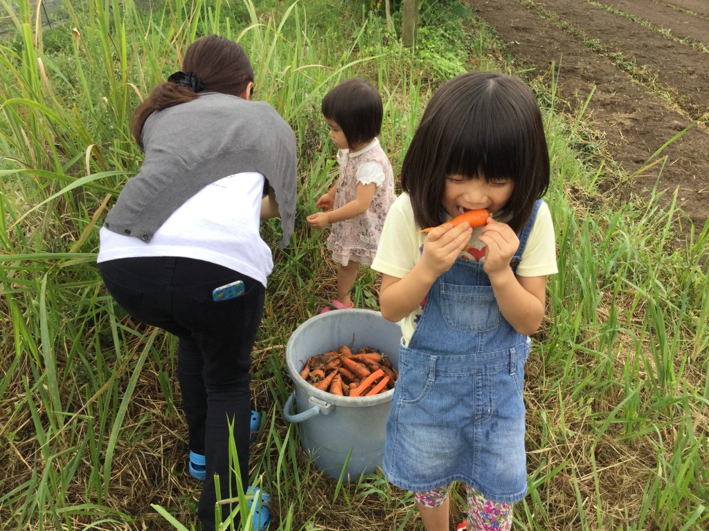 秋川牧園体験ツアー