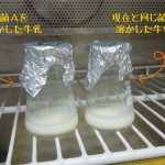 ヨーグルト、乳酸菌、発酵、試験