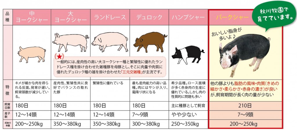 豚の種類