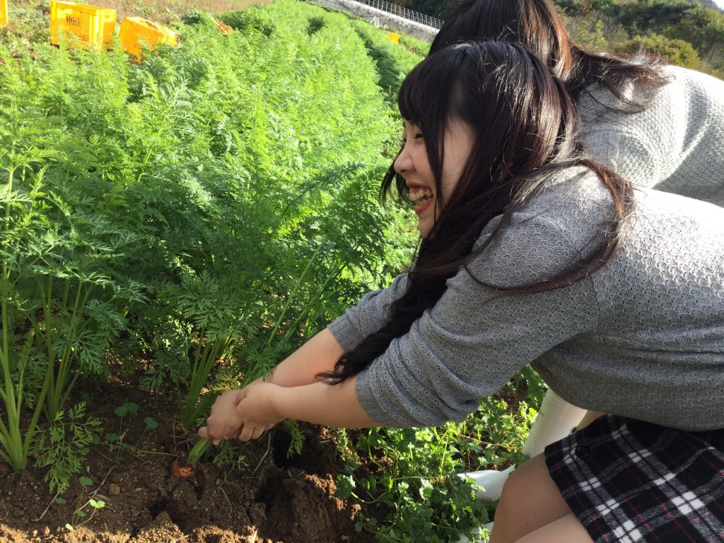 au×秋川牧園