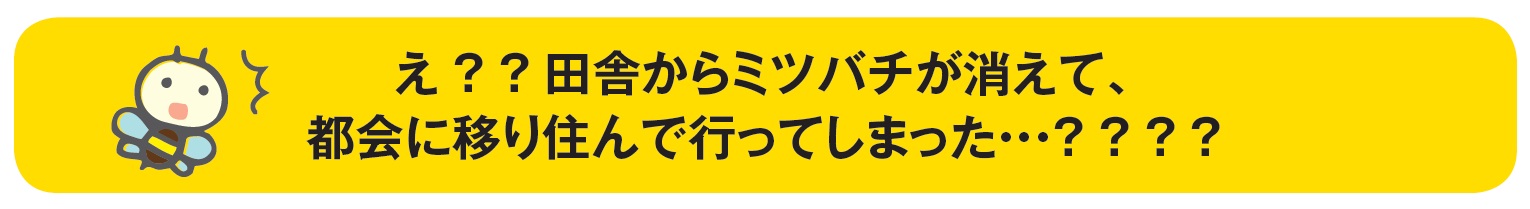 田舎から・・・