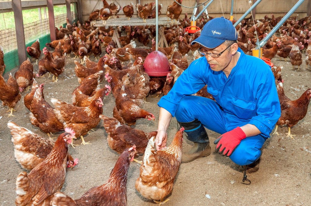 秋川牧園平飼い鶏舎