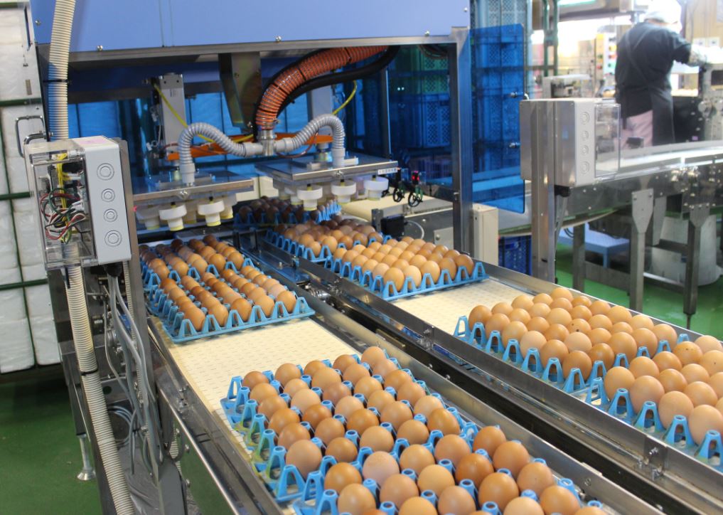 鶏卵工場に 最新設備を導入しました 秋川牧園