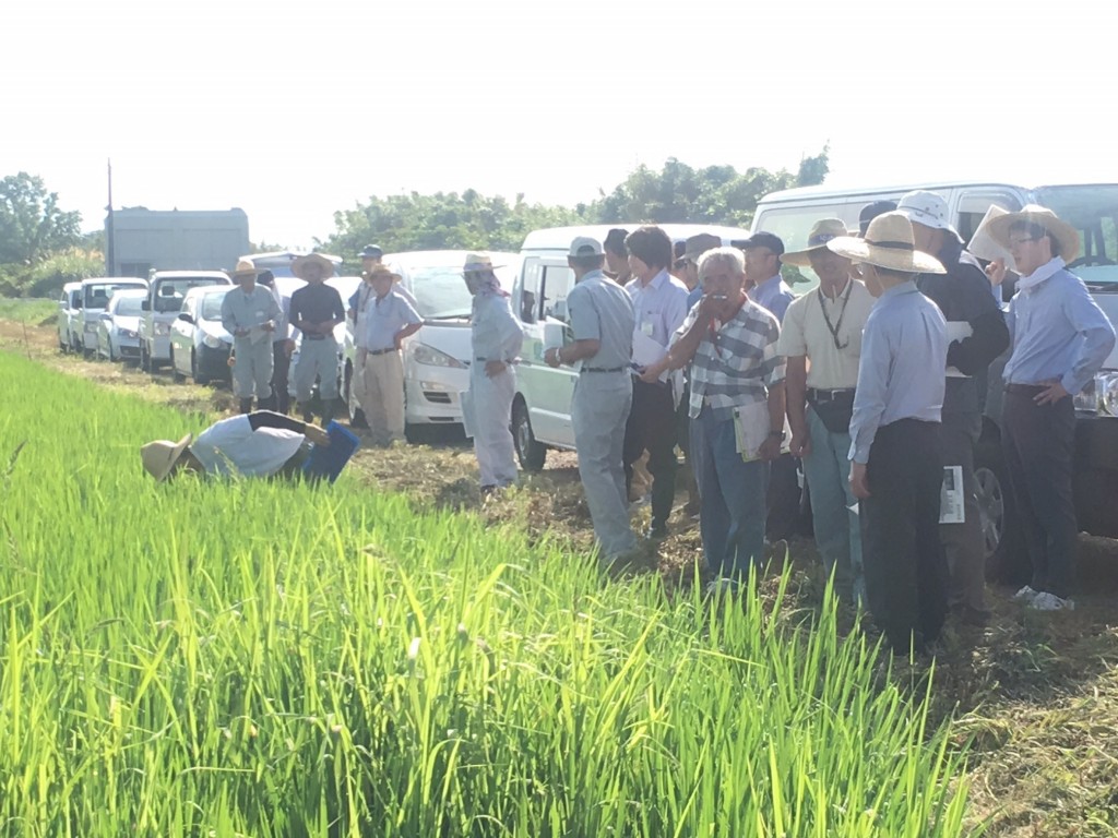 2016年8月18日　飼料用米視察会