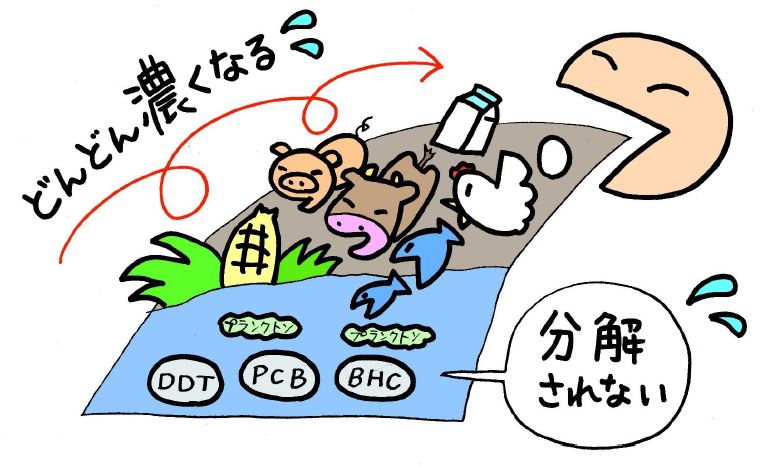 農薬と生態濃縮