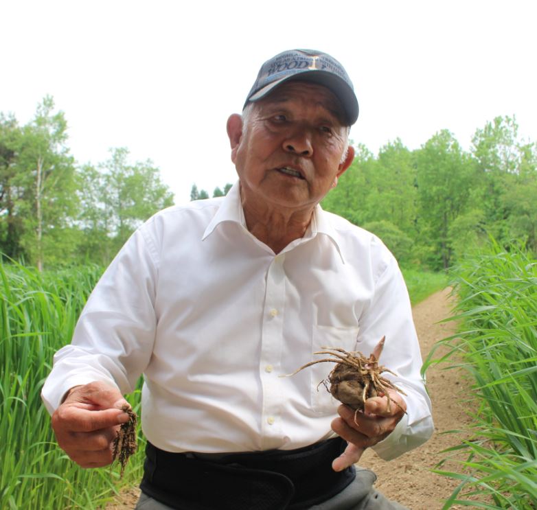 植えて間もない種芋を掘り起こし、熱く説明してくれる新内社長