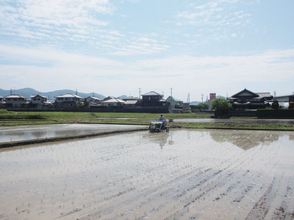 ４年前は耕作放棄地だった山口市陶(すえ)地区。今では田園風景が広がり、近隣住民からもうれしいお声をたくさんいただけているんです。