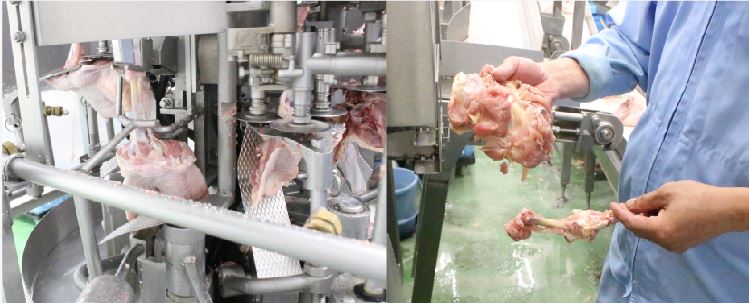 (左)トリダス (右)トリダスで脱骨されたモモ肉