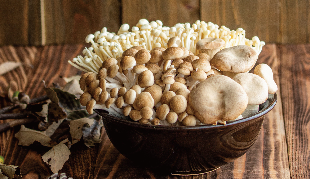 とぴとぷさま専用【 Nommi 】 大人気❕きのこシリーズ ピンク＆ブラウン とぴとぷさま専用【 Nommi 】 大人気❕きのこシリーズ ピンク