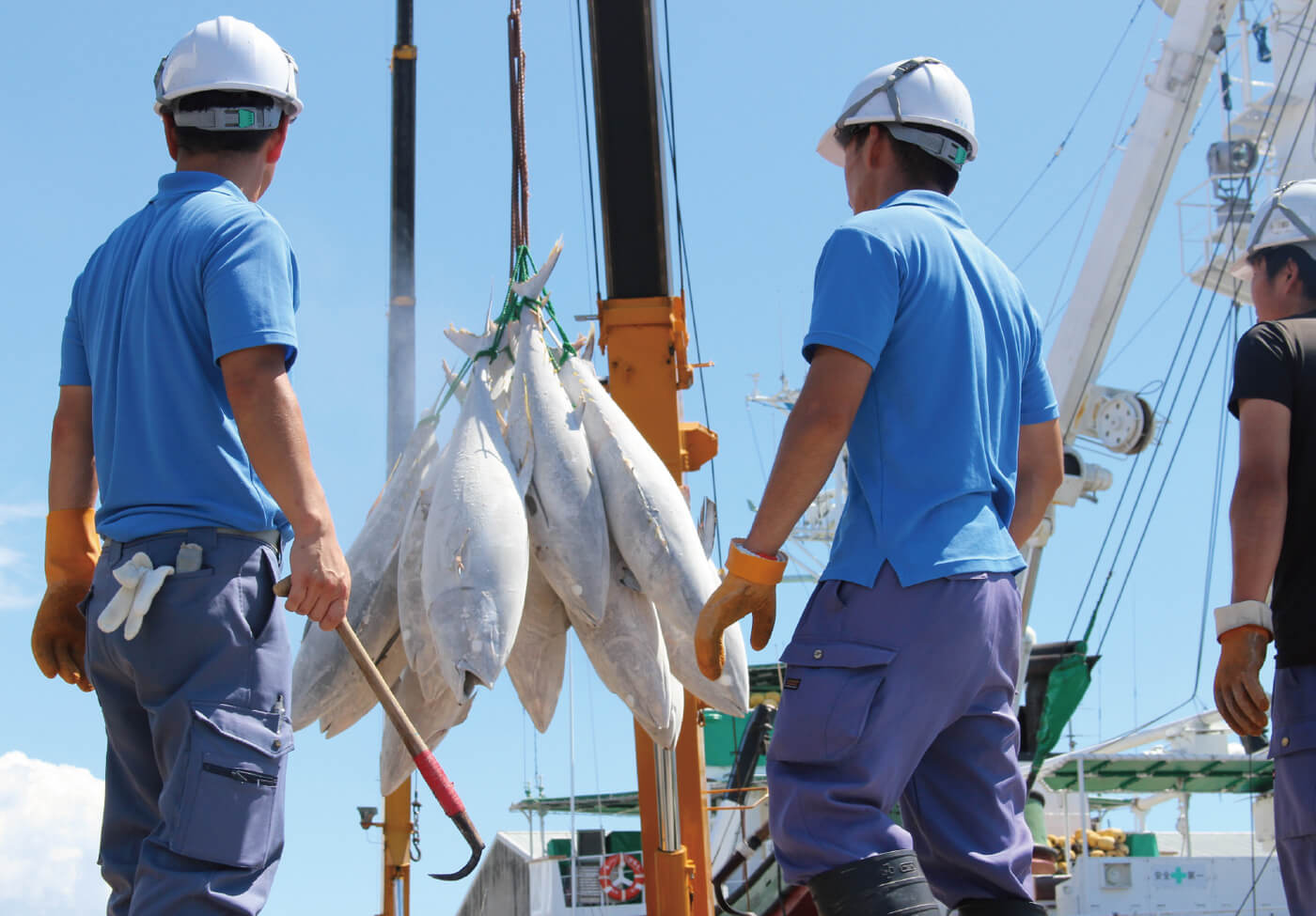 炎のかつお節職人、新丸正。