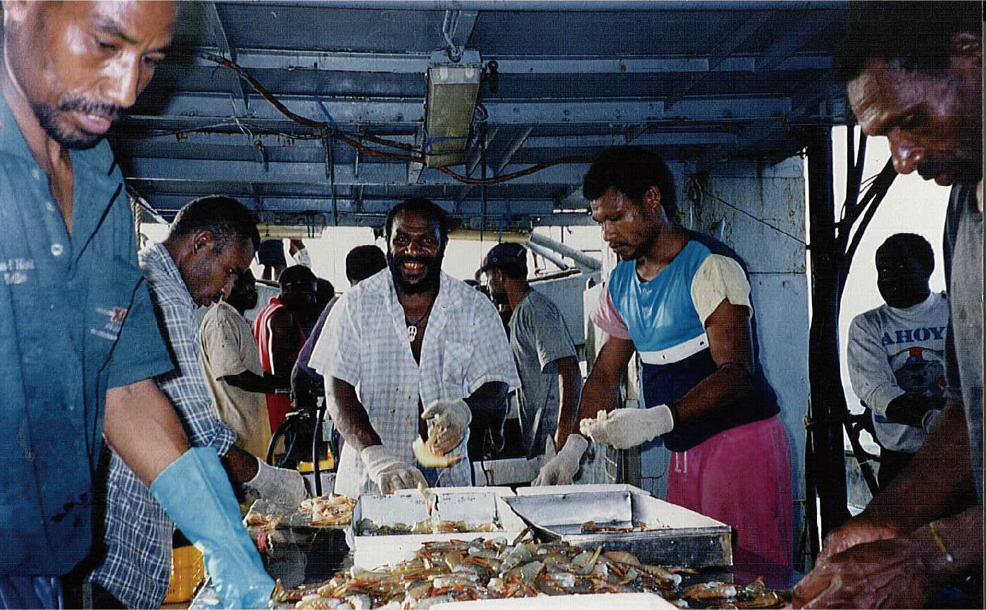 パプアニューギニア海産。船上での凍結作業