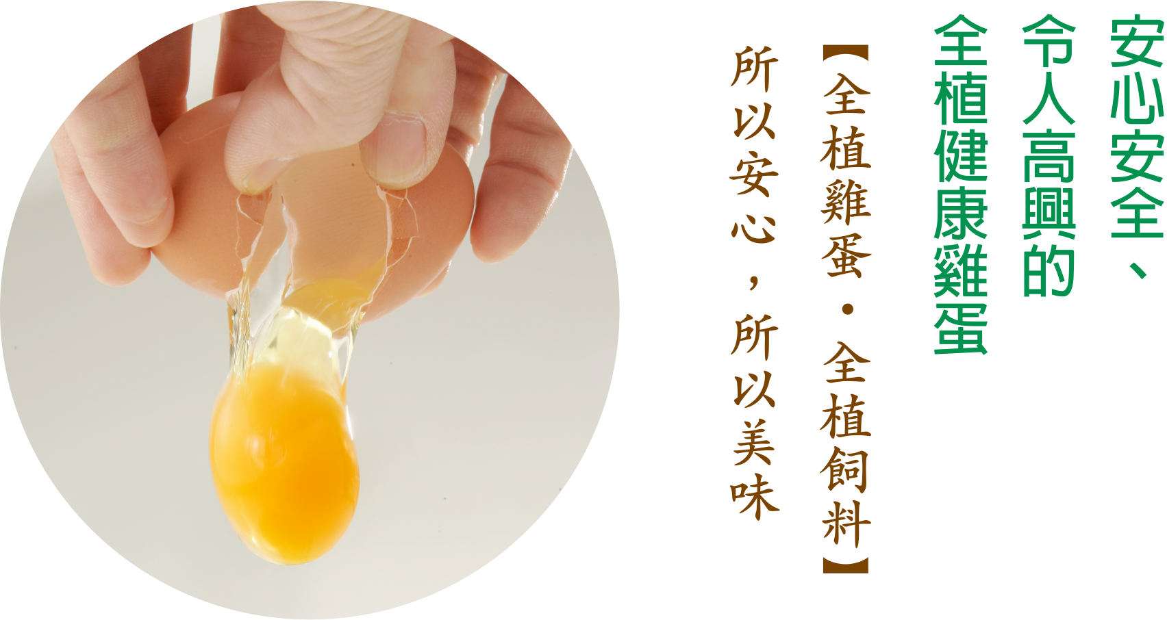 安心安全、令人高興的全植健康雞蛋【全植雞蛋 ・全植飼料】所以安心，所以美味